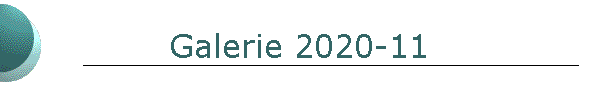 Galerie 2020-11